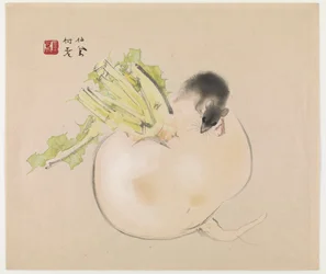 Hvid Radise (Daikon) Og Rotte (træbloktryk i farver)